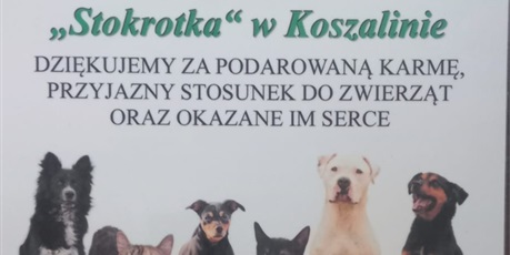AKCJA CHARYTATYWNA DLA SCHRONISKA